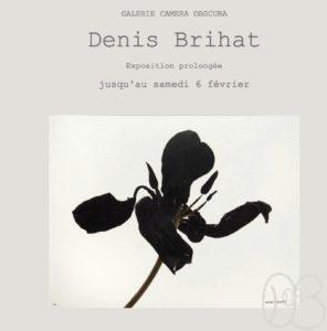 Exposition-DenisBrihat-Galerie-Camera-Obscura