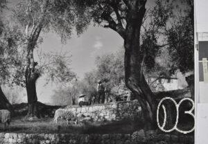 Biot
